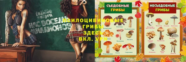 МДМА Верхний Тагил