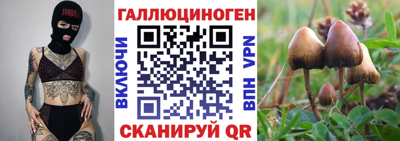 купить наркотик  Янаул  Галлюциногенные грибы прущие грибы 