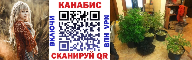 Конопля ГИДРОПОН  omg маркетплейс  Янаул 